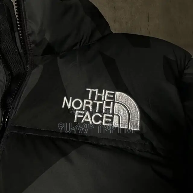 Original Kaws X the North Face Retro 1996 Nuptse Jacket