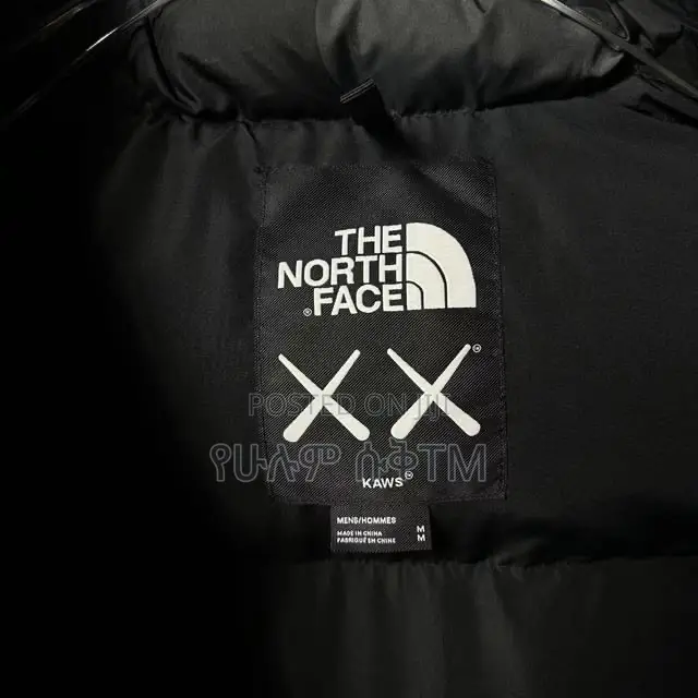 Original Kaws X the North Face Retro 1996 Nuptse Jacket