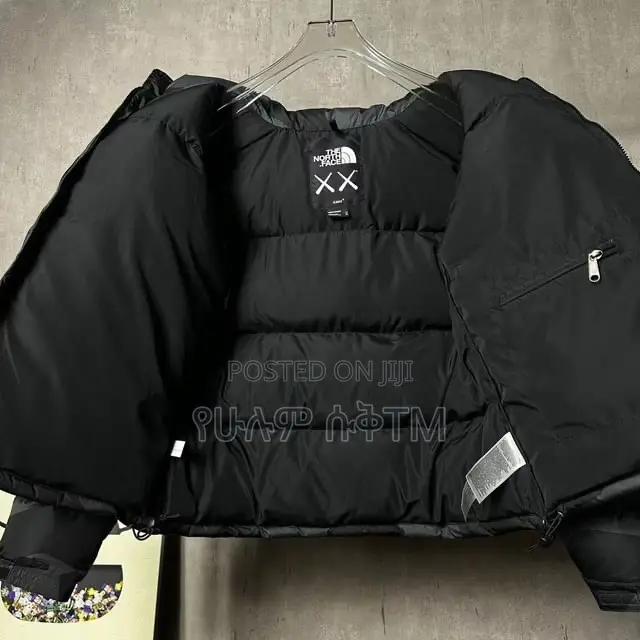 Original Kaws X the North Face Retro 1996 Nuptse Jacket