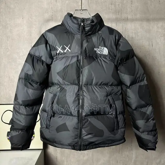 Original Kaws X the North Face Retro 1996 Nuptse Jacket
