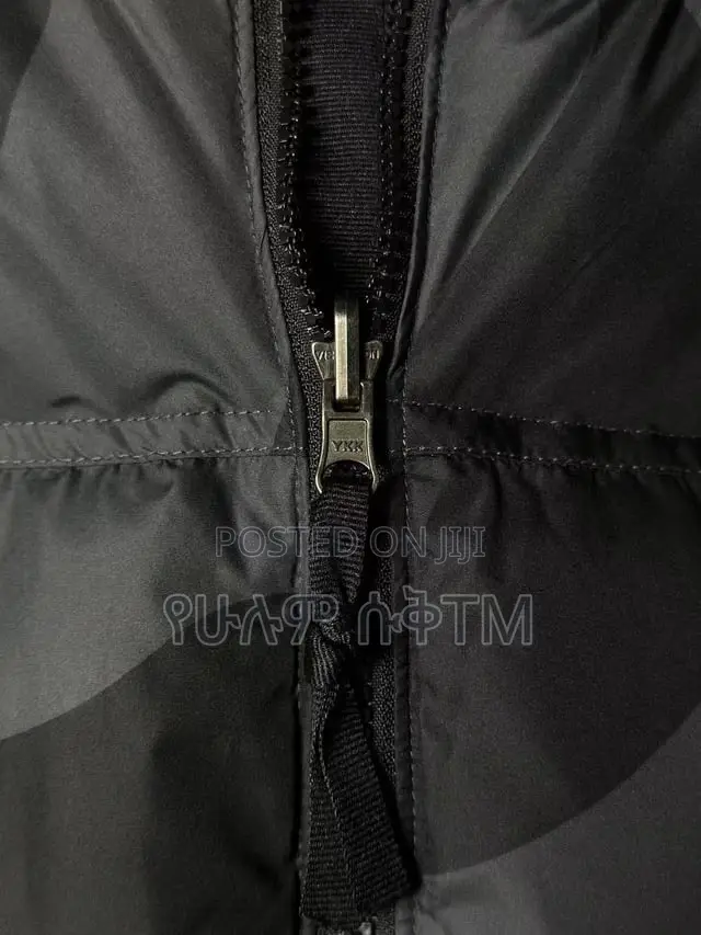 Original Kaws X the North Face Retro 1996 Nuptse Jacket