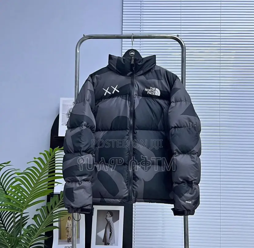 Original Kaws X the North Face Retro 1996 Nuptse Jacket