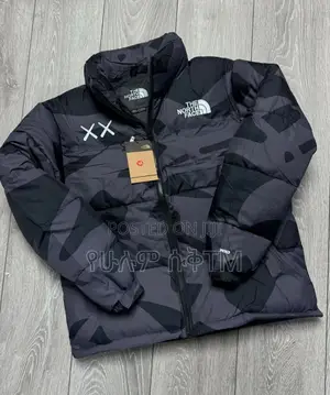 Original Kaws X the North Face Retro 1996 Nuptse Jacket