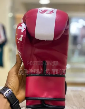 Speedster Pro Boxing Gloves