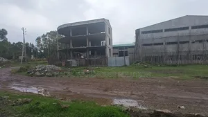 Warehouse for Sale at Kality