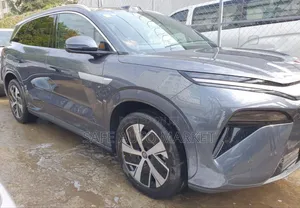 Photo - New BYD Tang EV 2025 Gray