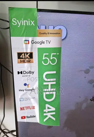 Siynix 65 Inch
