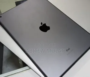 New Apple iPad 10.2 (2021) 256 GB Gray