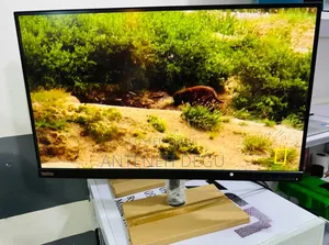 Photo - Computer Monitor