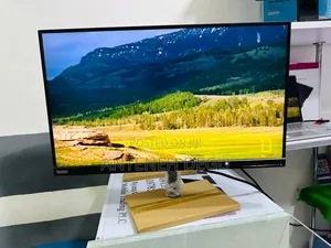 Computer Monitor