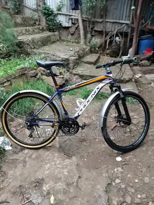 Photo - Tricycle 2024 Blue