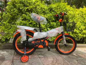 Luta Phonex Bike Brand New Biycle Bike