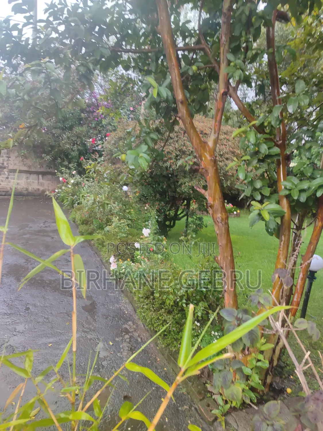 Villa House for Rent