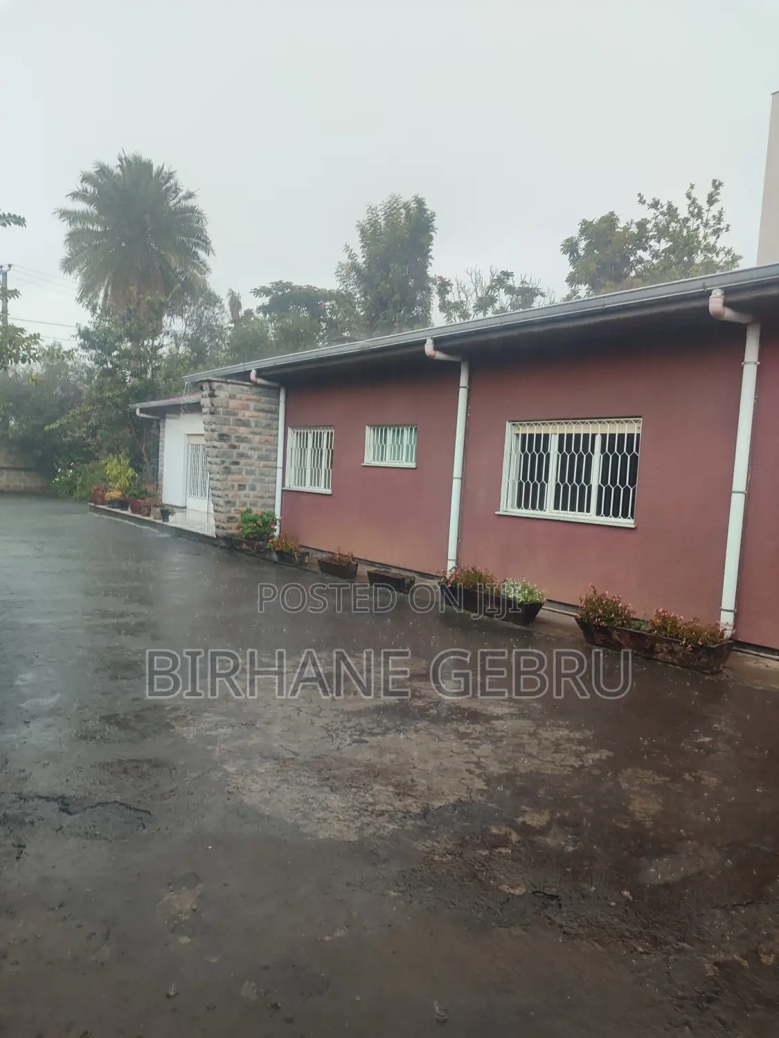 Villa House for Rent