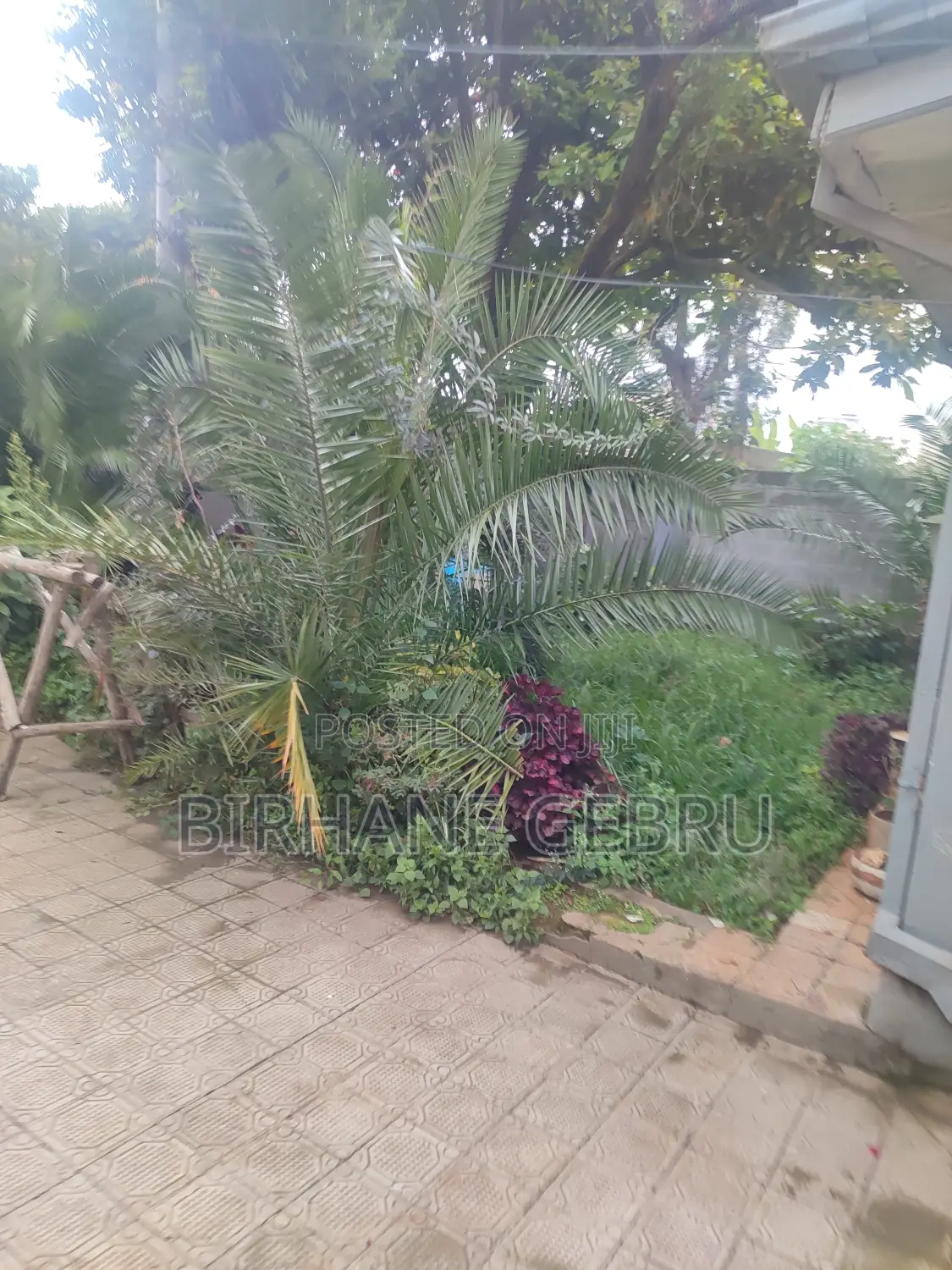 Villa House for Rent