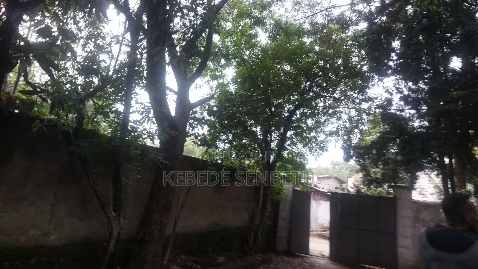 3bdrm House in Oromia, East Shewa for rent