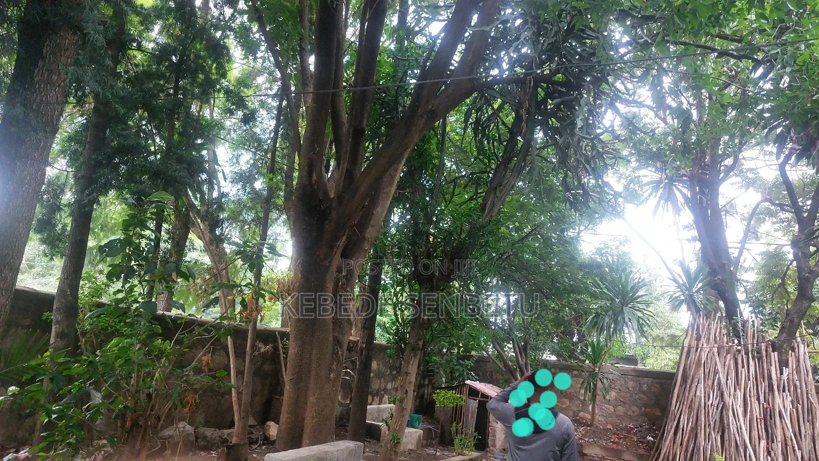 3bdrm House in Oromia, East Shewa for rent