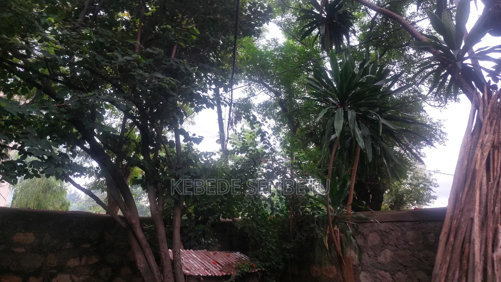 3bdrm House in Oromia, East Shewa for rent