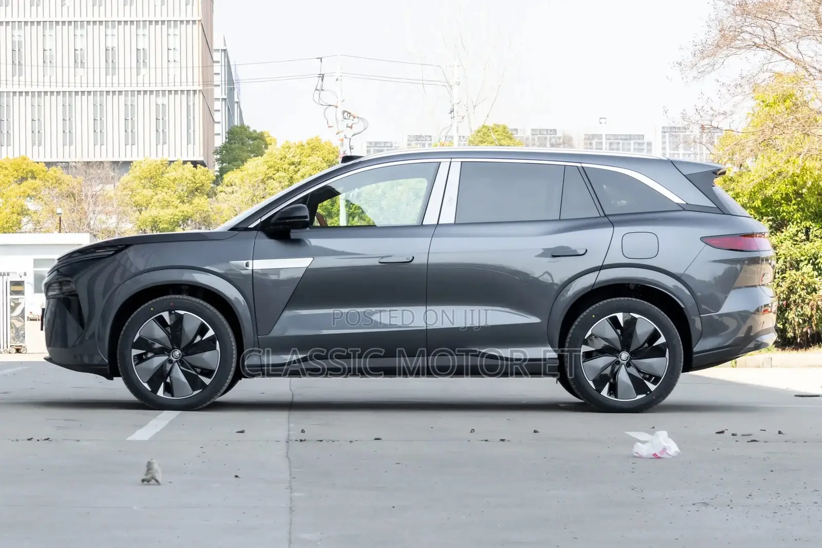 New BYD Tang EV 2025 Gray