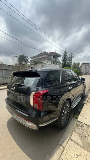 Hyundai Palisade 2023 Black