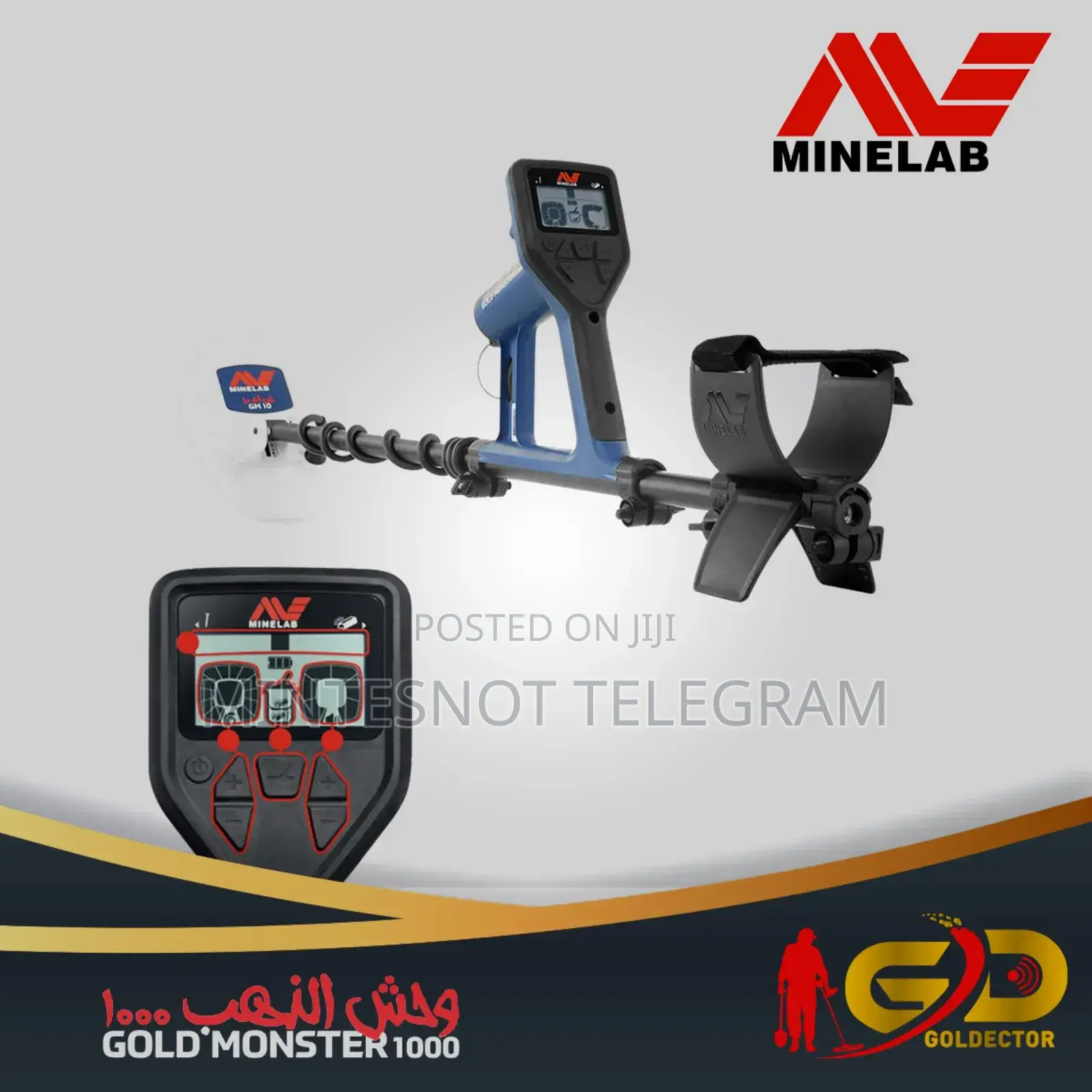 Metal Detector Gold