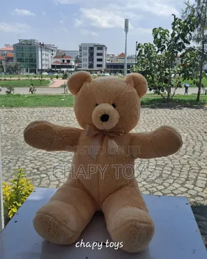 Photo - Teddy Bear 65cm
