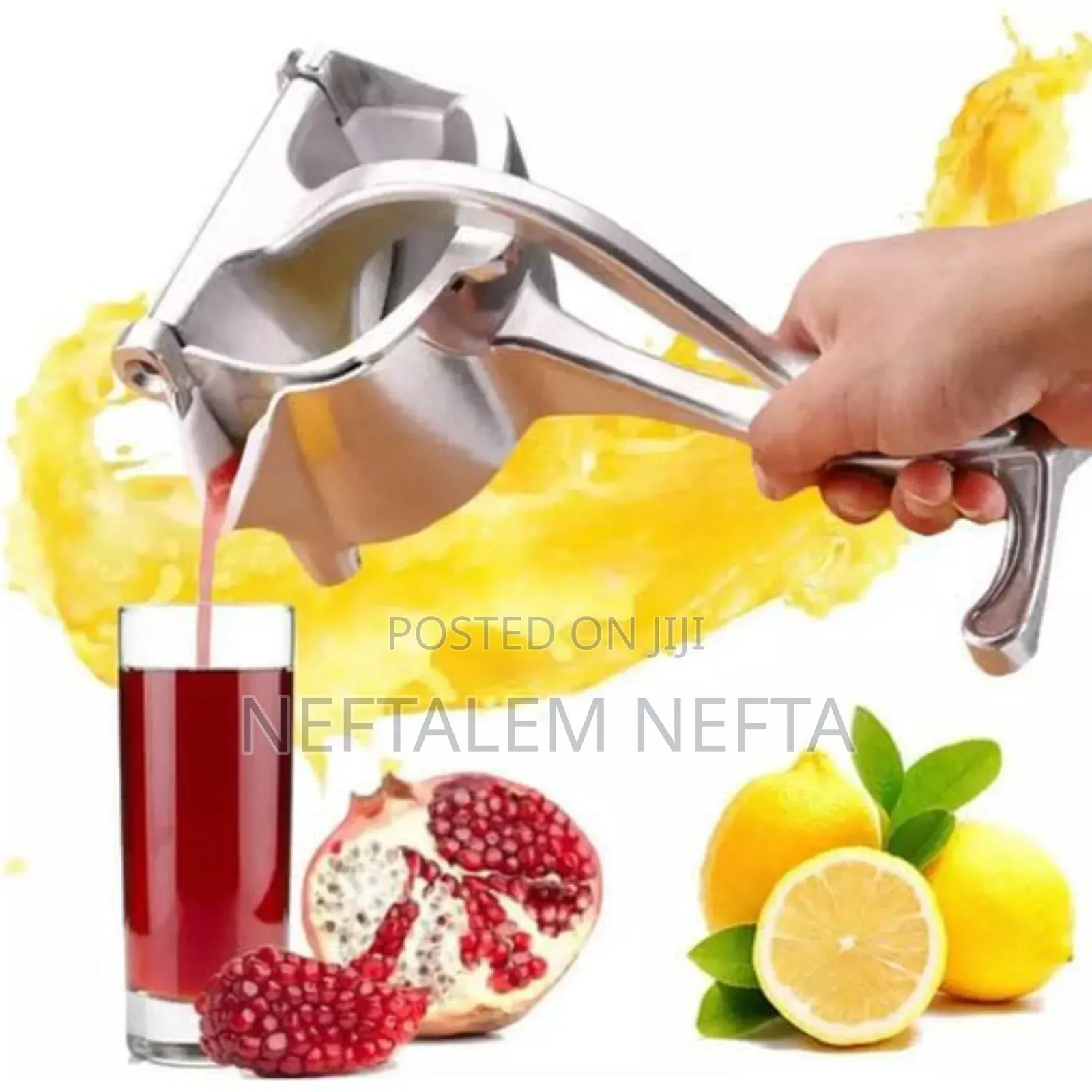 Manual Fruit Press