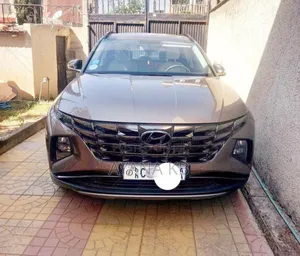 Photo - Hyundai Tucson 2023 Brown