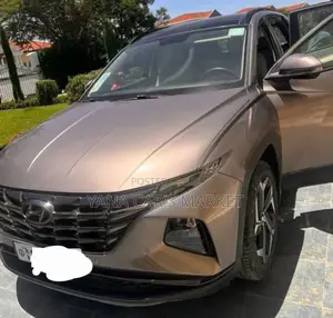 Hyundai Tucson 2023 Brown