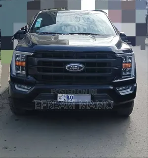 Photo - Ford F-150 2021 Brown