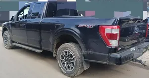 Ford F-150 2021 Brown