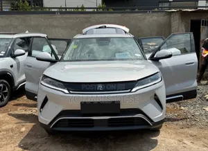 Photo - New BYD Yuan Up 2024 Silver