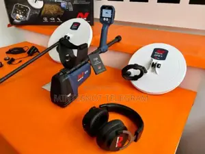 GPX 6000 Gold Detector