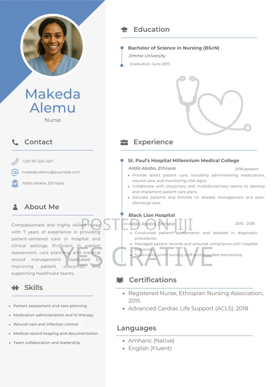 Professional Cv Resume