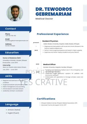 Professional Cv Resume