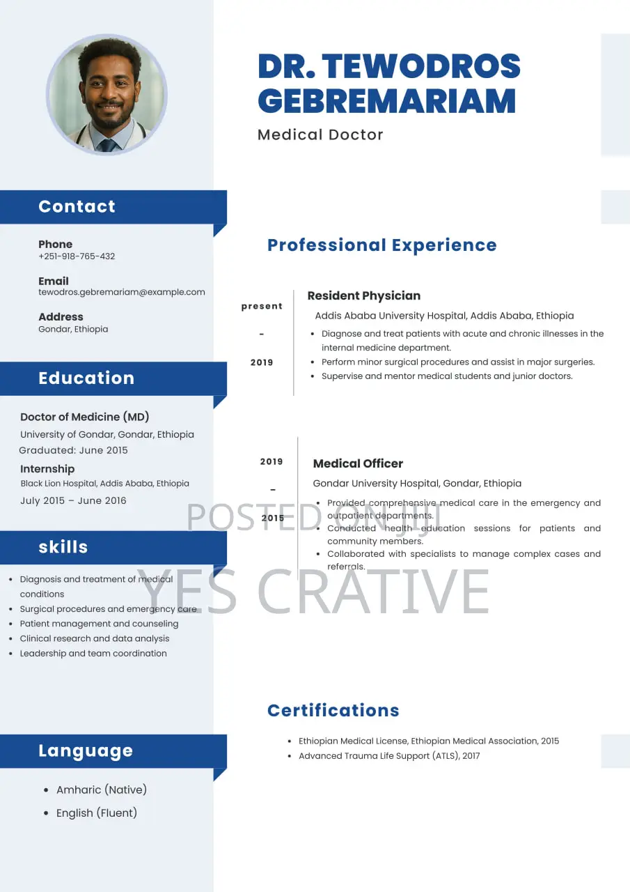 Professional Cv Resume