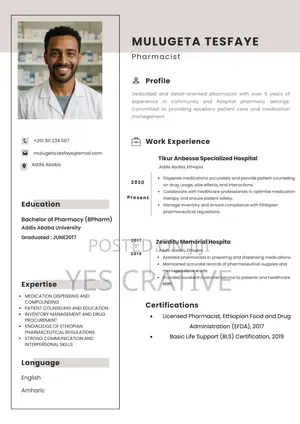 Professional Cv Resume