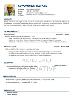 Professional Cv Resume