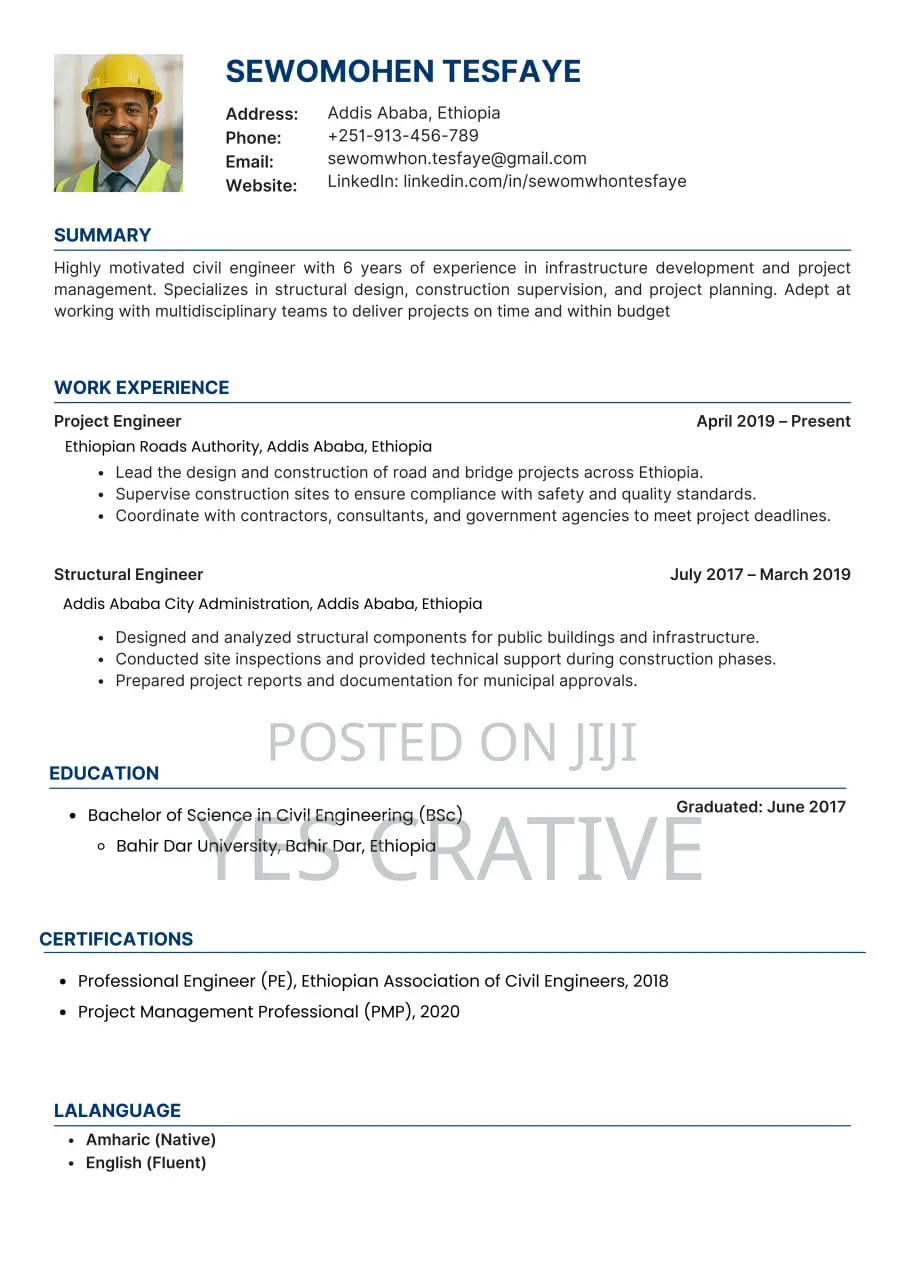 Professional Cv Resume