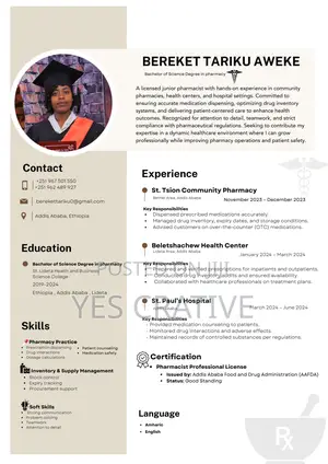 Professional Cv Resume