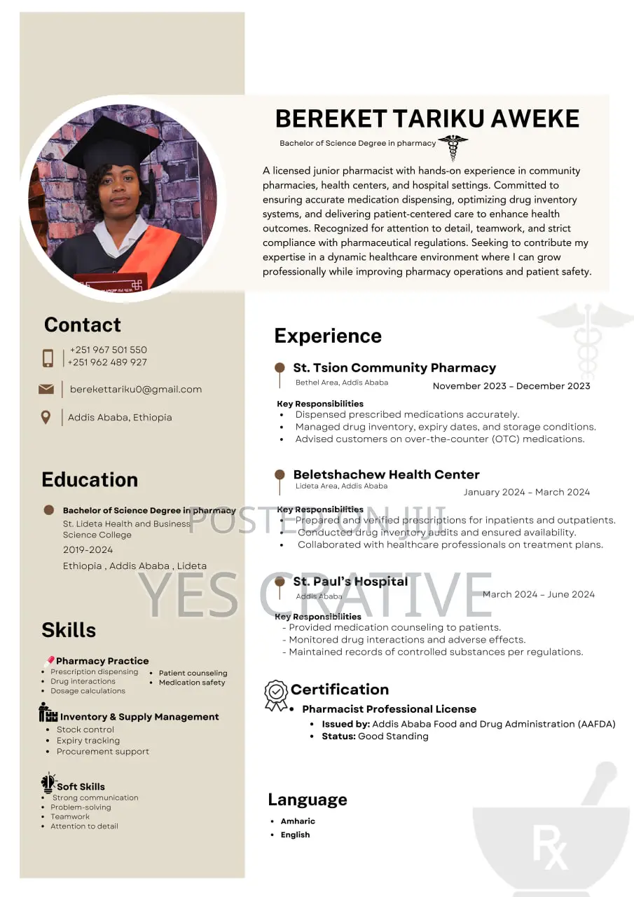Professional Cv Resume