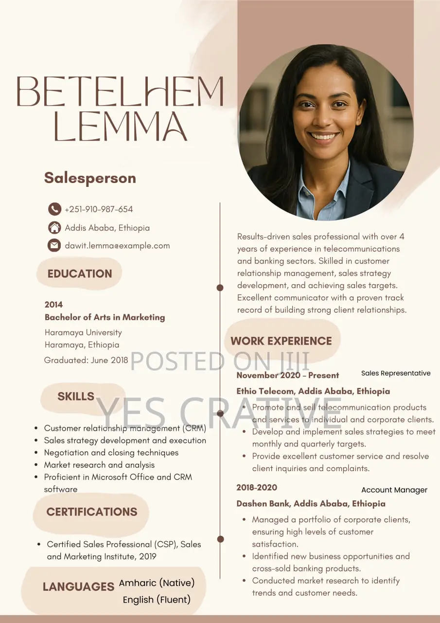 Professional Cv Resume