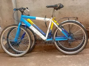 Photo - Custom Built Motorcycles 2020 Blue