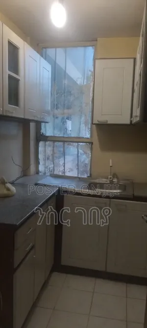 Furnished 1bdrm Condo in Ayat Tsebel, Yeka for rent