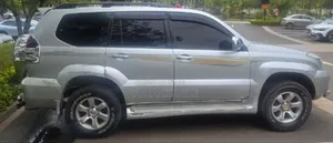 Toyota Land Cruiser 2009 Silver