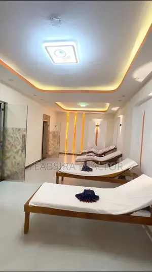 Furnished 3bdrm Apartment in My Dream, Kirkos for sale