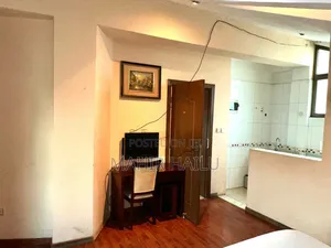Furnished 1bdrm Apartment in Real, Bole for rent
