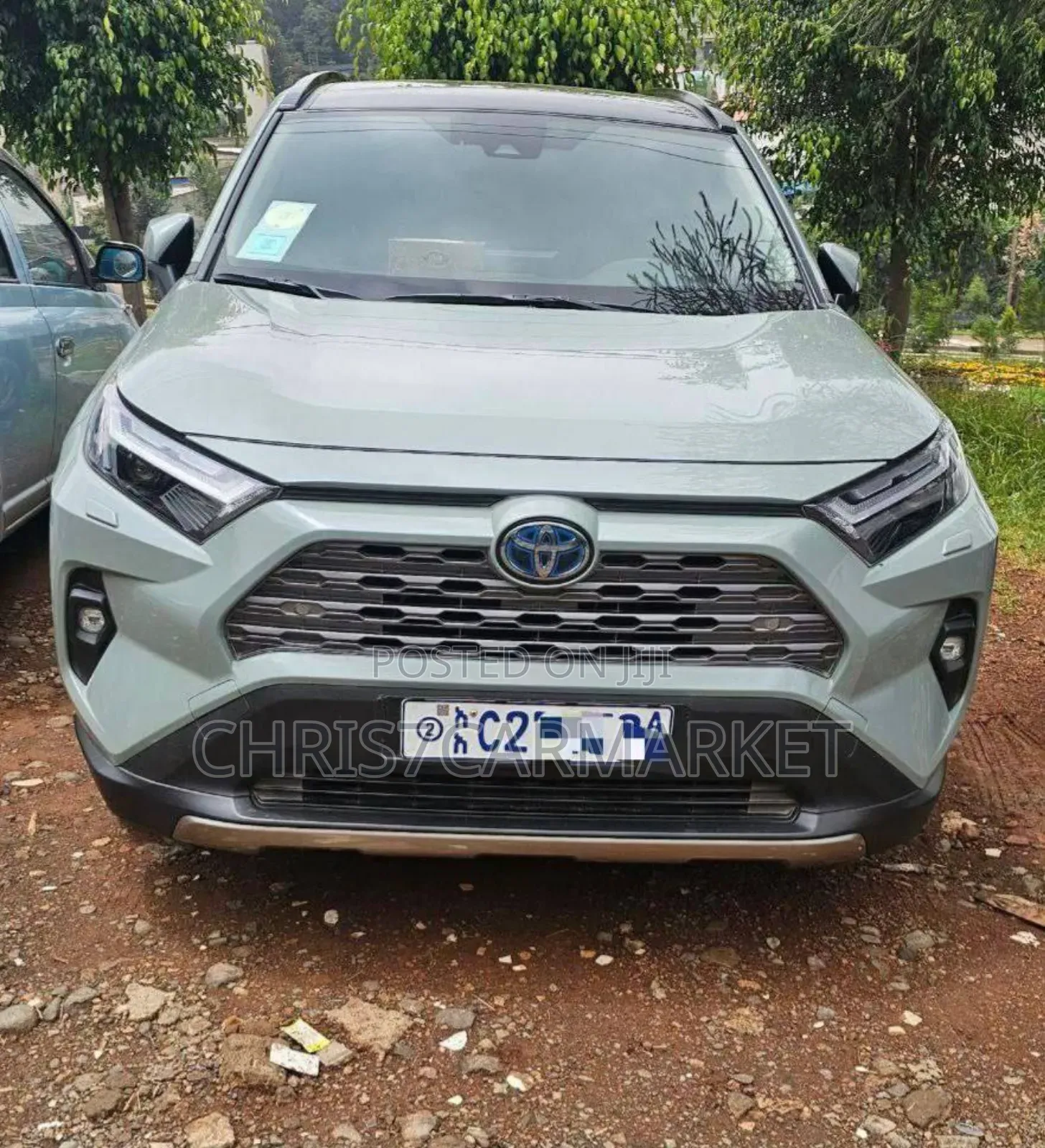Toyota RAV4 TRD Off Road 2022 Gray