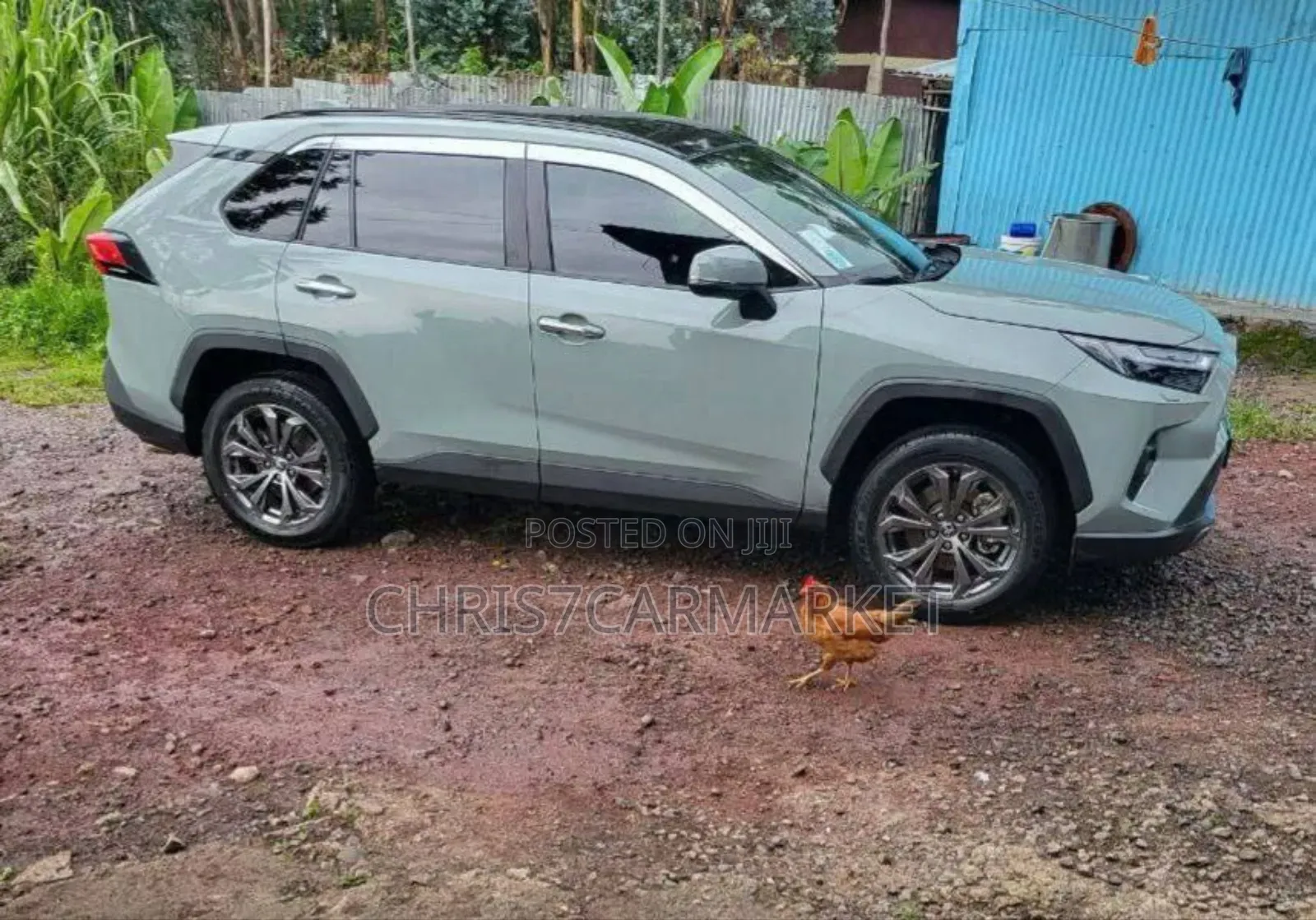 Toyota RAV4 TRD Off Road 2022 Gray