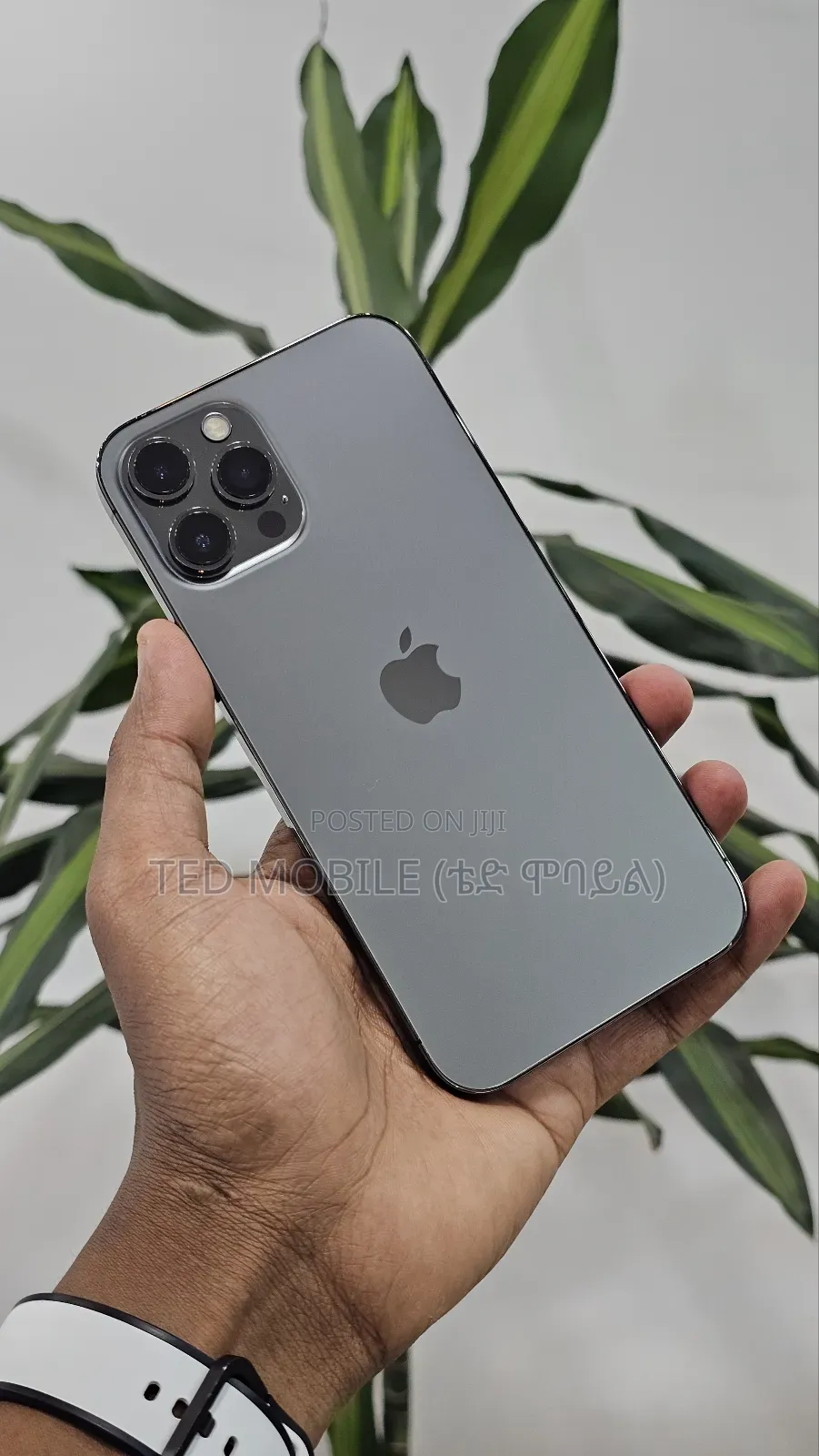 Apple iPhone 12 Pro Max 256 GB Blue